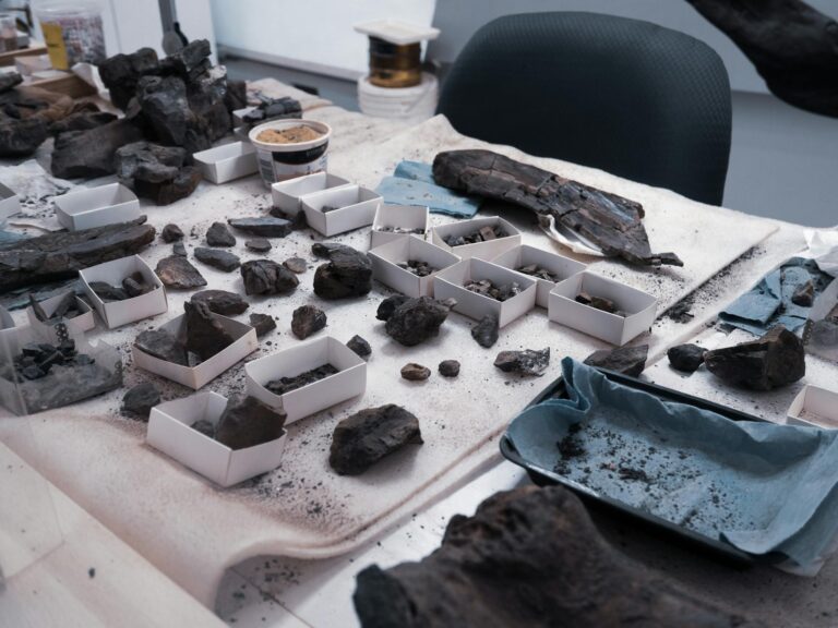 A cluttered desk showcasing various archaeological findings and ancient artifacts.
