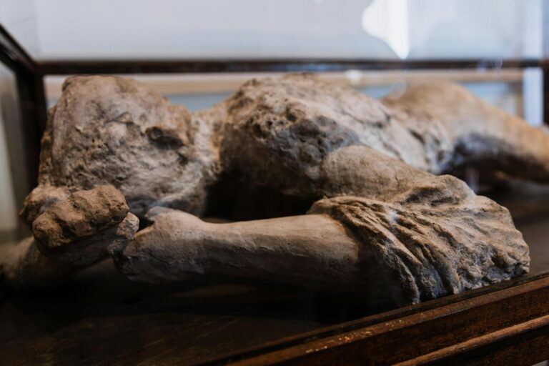 Close-up of a historic sculpture showcasing art and history in a museum setting.